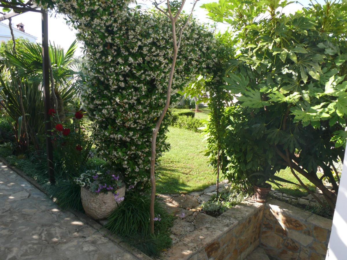 Apartment Marijana Poreč Dış mekan fotoğraf